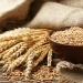 Manfaat Gandum Untuk Kesehatan Tubuh