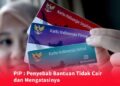 PIP : Penyebab Bantuan Tidak Cair dan Mengatasinya