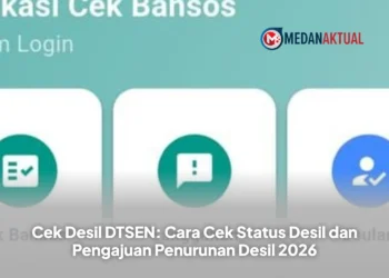 Cek Desil DTSEN: Cara Cek Status Desil dan Pengajuan Penurunan Desil 2026