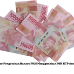 Prosedur Pengecekan Bansos PKH Menggunakan NIK KTP dengan Mudah