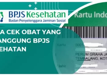 Cara Cek Obat yang Ditanggung BPJS dengan Mudah, Bisa Lewat HP!
