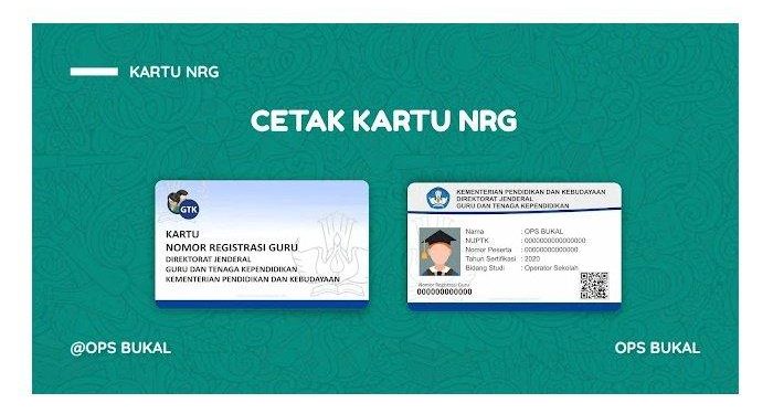 Jadwal Penerbitan Nomor Registrasi Guru (NRG) dan Pencairan Tunjangan Profesi Guru (TPG) Tahun 2025
