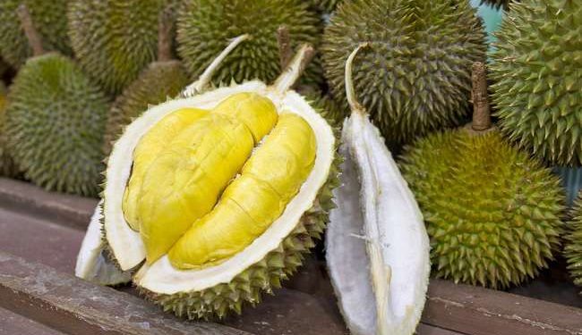 Manfaat Durian dan Efek Sampingnya bagi Kesehatan Tubuh