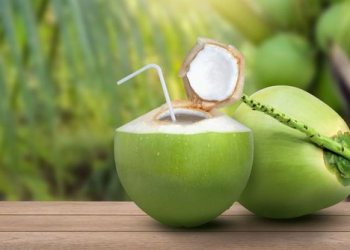 Manfaat Air Kelapa Muda dan Efek Samping Bagi Tubuh dan