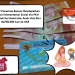 Langkah Mudah Cek NIK Penerima Bansos PKH 2025, Ibu Hamil Dapat Rp750 Ribu, Siapkan KTP Anda!