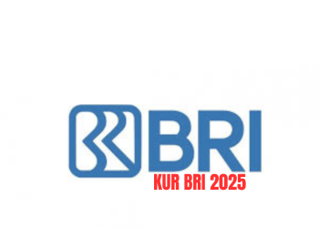 Mudah dan Efektif: Tips Lolos Pengajuan KUR BRI 2025 untuk Usaha Anda