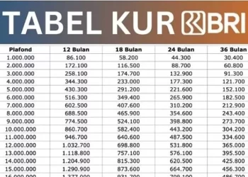 Tabel Angsuran KUR BRI 2025: Pinjaman 10 – 100 Juta dan Syaratnya