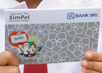 Ada Perubahan Situs, Klik pip.dikdasmen.go.id untuk Cek Status Bantuan PIP 2025