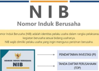 Cara Membuat NIB (Nomor Induk Berusaha) dengan Mudah