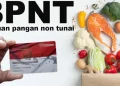 Cara Mudah Cek Pencairan BPNT Periode Februari 2025