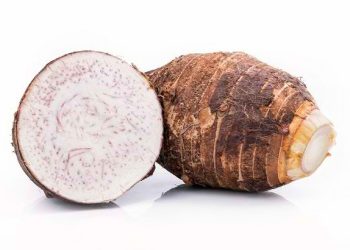 Manfaat Keladi bagi Kesehatan