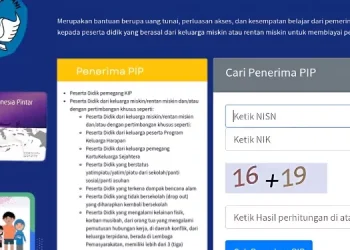 Dana PIP 2025 Sudah Cair! Cek Status Penerimaanmu Sekarang Juga!