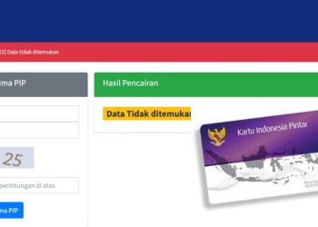 PIP 2025 Sudah Keluar Cek di pip.dikdasmen.go.id