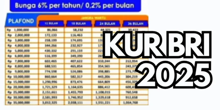 KUR BRI: Solusi Mudah dan Cepat untuk Pengembangan Usaha UMKM