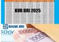 Program Pendampingan UMKM BRI: Solusi untuk Membantu Debitur KUR Meningkatkan Usaha