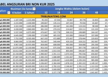 Cek Angsuran Non KUR BRI 2025 Setelah Lebaran: Pinjaman Modal Usaha Hingga Rp500 Juta