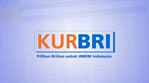 Langkah Cerdas Agar Pengajuan KUR BRI Disetujui, Hindari Kesalahan Ini