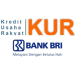 Dapatkan Modal Usaha dengan KUR BRI 2025: Program Pembiayaan untuk UMKM