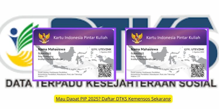 Mau Dapat PIP 2025 Daftar DTKS Kemensos Sekarang