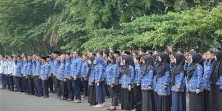 Kabar Terbaru CPNS dan PPPK 2024: Proses Pengangkatan Hampir Rampung, BKN Siap Tuntaskan Pelantikan CASN!