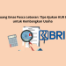 Peluang Emas Pasca Lebaran: Tips Ajukan KUR BRI untuk Kembangkan Usaha