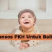 Cara Mendapatkan Bansos untuk Balita Periode April 2025