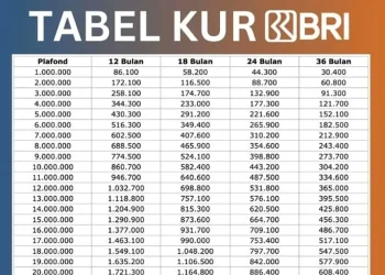 Tabel Angsuran Terbaru KUR BRI 2025: Plafon Mulai Dari 10 Juta