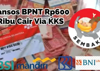 Dana Bansos BPNT Susulan Rp600.000 Sudah Cair di Rekening BNI, Cek Sekarang Lewat cekbansos.kemensos.go.id