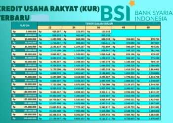 Pinjaman Syariah KUR BSI: Pencairan 3 Hari Langsung Cair, Ini Fakta yang UMKM Wajib Tahu