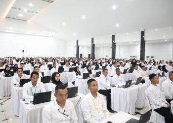 Daftar Gaji PPPK 2025 untuk Lulusan Sarjana Sesuai Perpres Nomor 11 Tahun 2024
