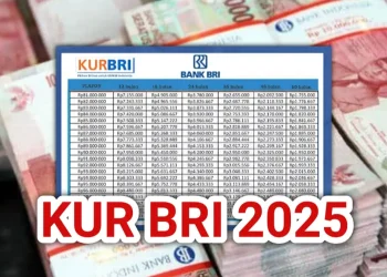 Pengajuan Pinjaman KUR BRI 2025 untuk UMKM: Syarat, Cara Pengajuan, dan Tabel Angsuran