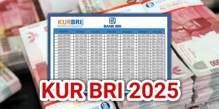 Pengajuan Pinjaman KUR BRI 2025 untuk UMKM: Syarat, Cara Pengajuan, dan Tabel Angsuran