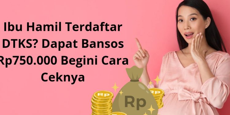 Ibu Hamil Terdaftar DTKS? Dapat Bansos Rp750.000 Begini Cara Ceknya