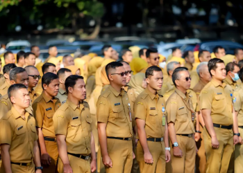 Ini Penjelasan Resmi BKN! Arti Kode R3 dan L di Pengumuman PPPK 2024 Tahap 2, Segera Cek Statusmu