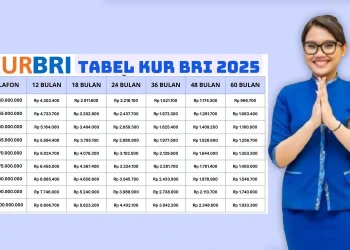 Cara Mendapatkan Modal Usaha Hingga Rp500 Juta Lewat KUR BRI 2025 untuk UMKM