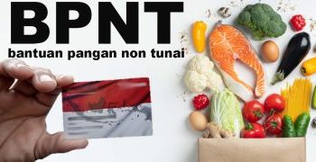 Cek Sekarang! NIK e-KTP Kamu Terdaftar Sebagai Penerima Bansos BPNT Rp600.000 Tahap 1, Cair Lewat Bank BNI