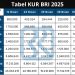 KUR BRI Rp10 Juta Tanpa Jaminan 2025: Solusi Pinjaman Modal Usaha UMKM dengan Cicilan Ringan