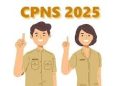 7 Hak yang Akan Diperoleh CPNS