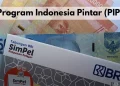 Saldo Bantuan PIP 2025 Cair