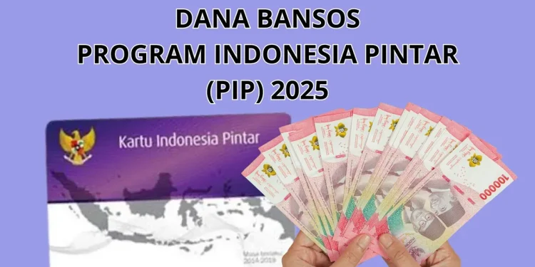 Cek PIP 2025: Cara Mudah Mengetahui Apakah Anak Anda Dapat Bantuan Pendidikan atau Tidak
