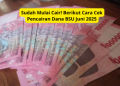 Sudah Mulai Cair! Berikut Cara Cek Pencairan Dana BSU Juni 2025