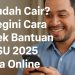 Sudah Cair Begini Cara Cek Bantuan BSU 2025 Via Online
