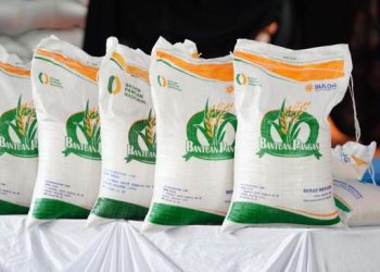 Bantuan Sosial Beras Juli–Agustus 2025: Siapa yang Dapat, Jumlah yang Diterima, dan Cara Ambilnya