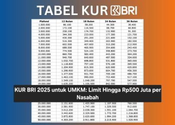 KUR BRI 2025 untuk UMKM: Limit Hingga Rp500 Juta per Nasabah