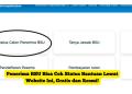 Penerima BSU Bisa Cek Status Bantuan Lewat Website Ini, Gratis dan Resmi!