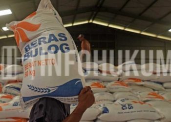 Cek Online! Bansos Beras 20 Kg 2025 Sudah Mulai Diverifikasi