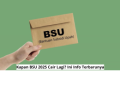 Kapan BSU 2025 Cair Lagi? Ini Info Terbarunya