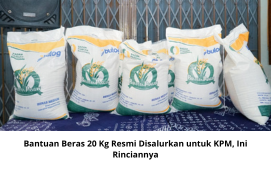 Bantuan Beras 20 Kg Resmi Disalurkan untuk KPM, Ini Rinciannya
