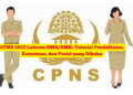CPNS 2025 Lulusan SMA/SMK: Tutorial Pendaftaran, Ketentuan, dan Posisi yang Dibuka