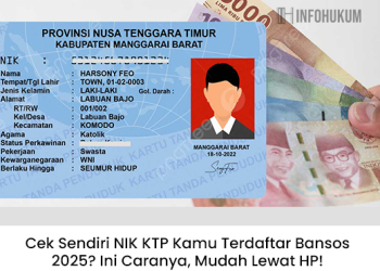 Cek Sendiri NIK KTP Kamu Terdaftar Bansos 2025? Ini Caranya, Mudah Lewat HP!